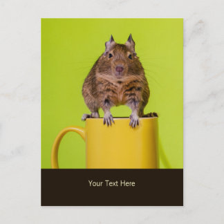 Degu Sitting on a Mug Postcard