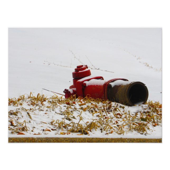 "Dehydrated" Photo Print (Front)
