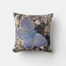 Dekokissen blauer Schmetterling