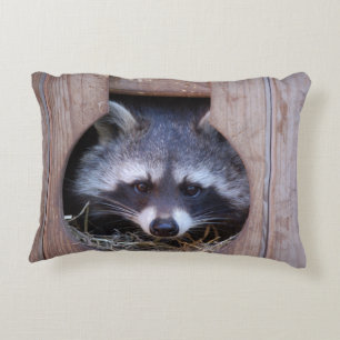 Dekokissen Washbär Racoon Photo Jean-Louis Glineu Decorative Pillow