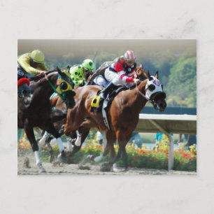 Del Mar Racetrack Postcard