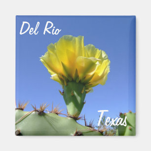 Del Rio Texas souvenirs yellow cactus flower. Magnet