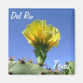 Del Rio Texas souvenirs yellow cactus flower. Magnet