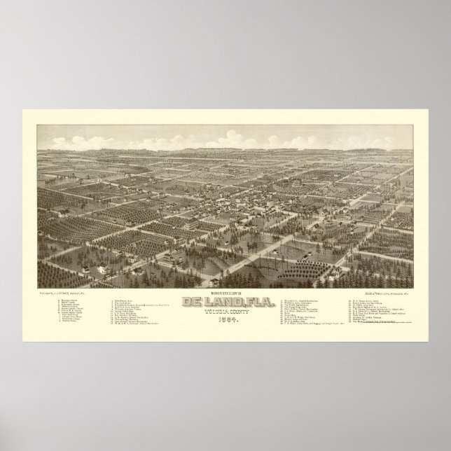 DeLand, FL Panoramic Map - 1884 Poster (Front)