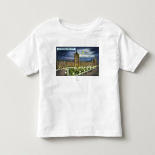 Delaware and Hudson Co. Building at Night Toddler T-shirt
