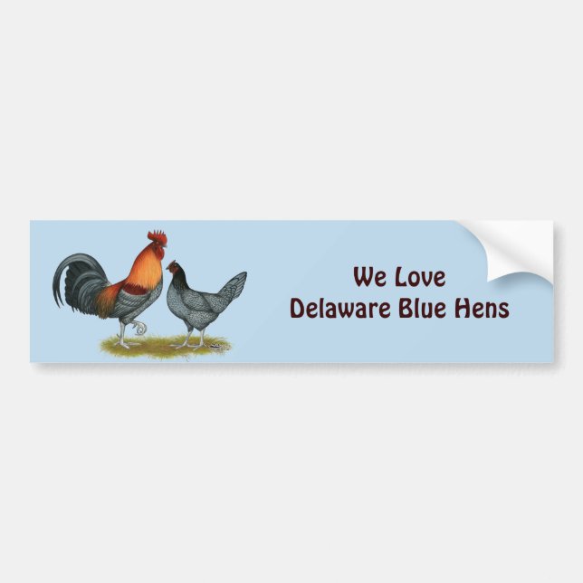 Delaware Blue Hen Bumper Sticker (Front)