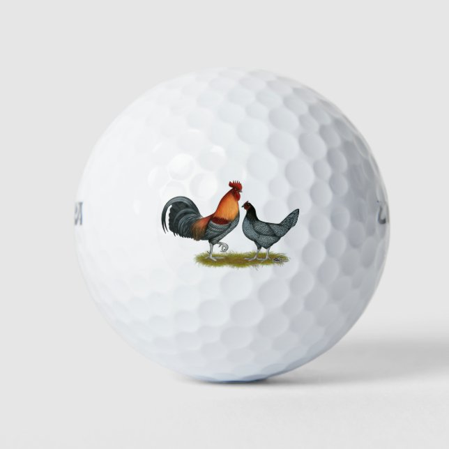Delaware Blue Hen Golf Balls (Front)
