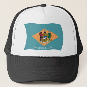 Delaware Flag Hat
