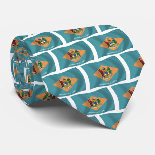 Delaware Flag Tie