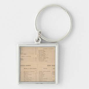 Delaware Index Keychain
