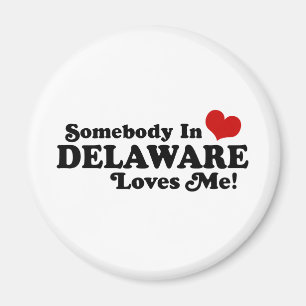 Delaware Magnet