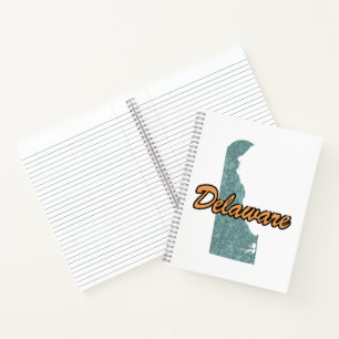 Delaware Notebook