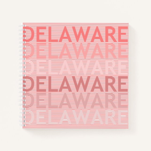 Delaware Notebook (Front)