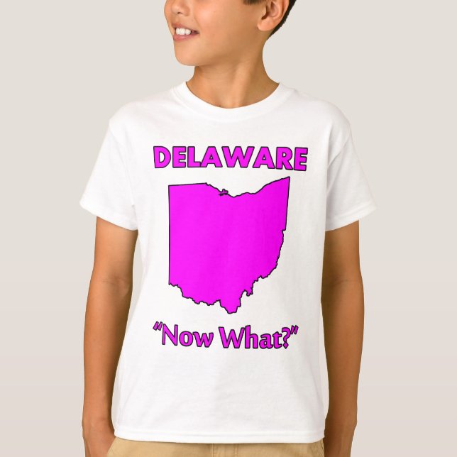 Delaware - Now What? T-Shirt (Front)