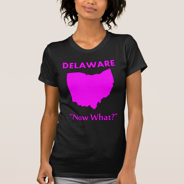 Delaware - Now What? T-Shirt (Front)