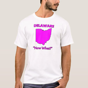 Delaware - Now What? T-Shirt
