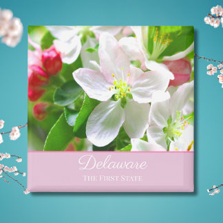 Delaware Peach Blossoms First State Magnet