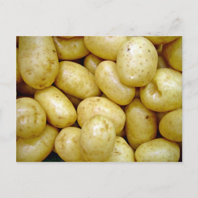 Delaware potatoe postcard (Front)