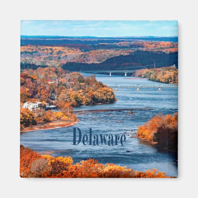 Delaware River Fall Leaves Magnet (Front)