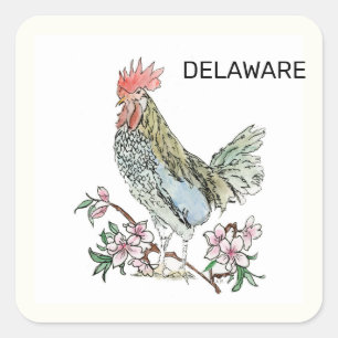 Delaware state bird and flower square sticker
