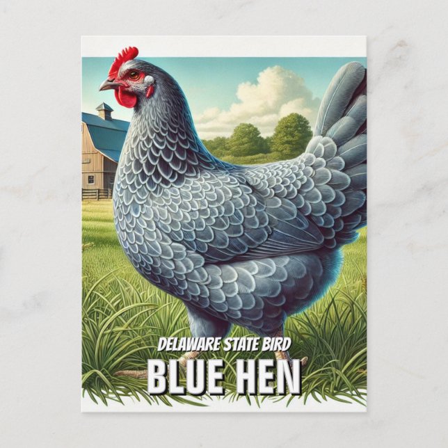 Delaware State Bird Blue Hen Postcard (Front)