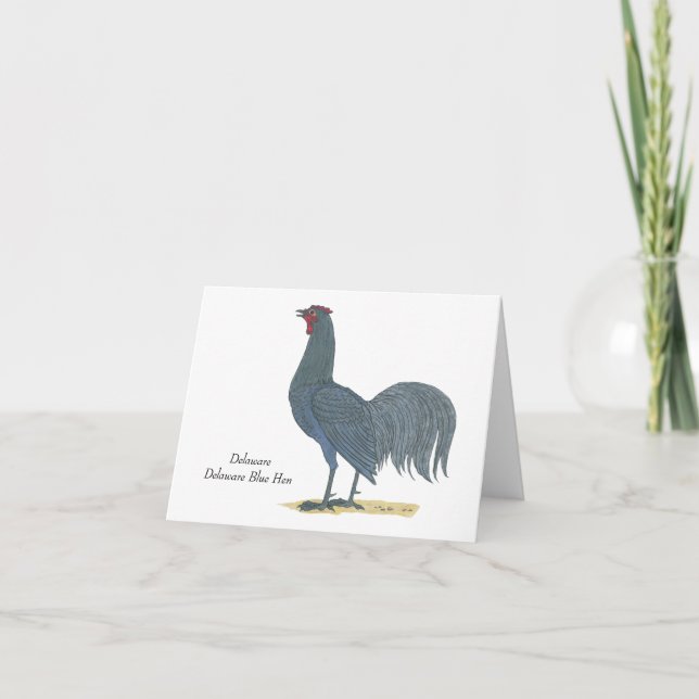 Delaware State Bird: Delaware Blue Hen Thank You Card (Front)