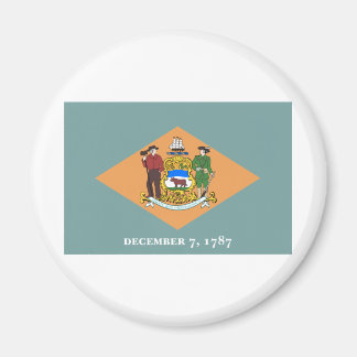 Delaware State Flag Magnet