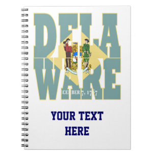 Delaware state flag text notebook