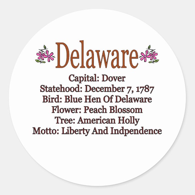 Delaware State Info Sticker (Front)