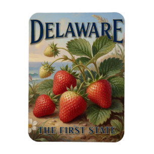 Delaware State Pride 🍓 Red Strawberries Magnet