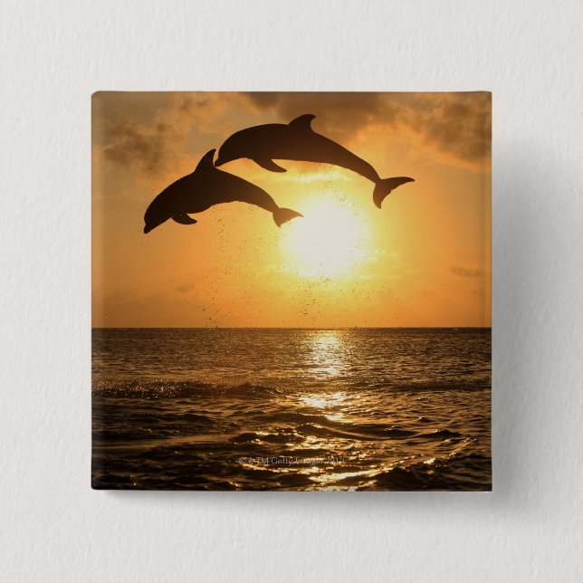 Delfin 3 2 inch square button (Front)