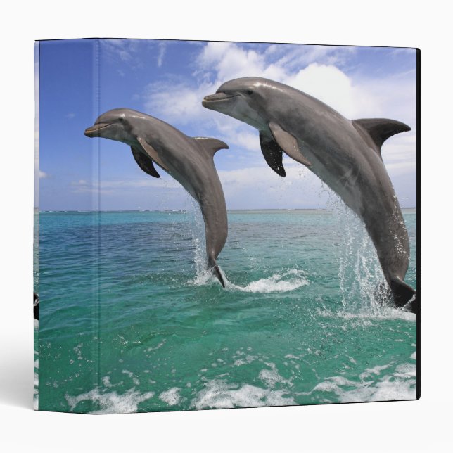 Delfin,Delphin,Grosser Tuemmler,Tursiops 4 Binder (Front/Spine)