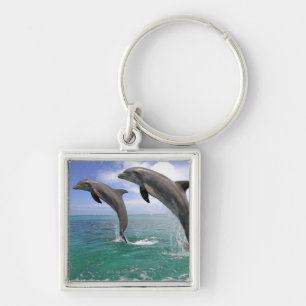 Delfin,Delphin,Grosser Tuemmler,Tursiops 4 Keychain