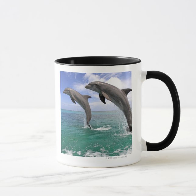 Delfin,Delphin,Grosser Tuemmler,Tursiops 4 Mug (Right)