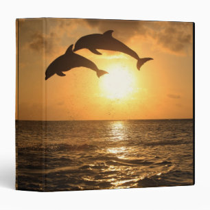 Delfin,Delphin,Grosser Tuemmler,Tursiops Binder