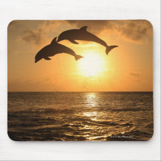 Delfin,Delphin,Grosser Tuemmler,Tursiops Mouse Pad