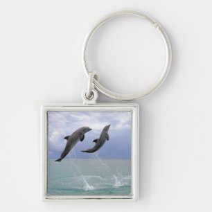 Delfin (Grosser Tuemmler) Keychain