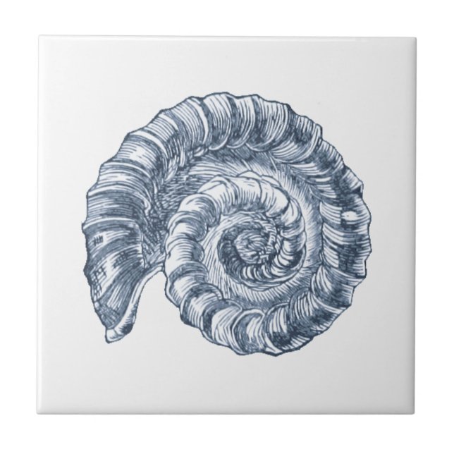 Delft Blue Ammonite Sea Shell Nautical Beach House Tile (Front)