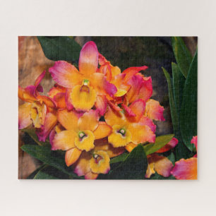 Délicat Orchidées Puzzle puzzle