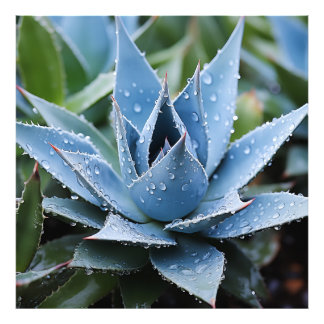 Delicate Agave Botanical Photorealistic Digital Photo Print