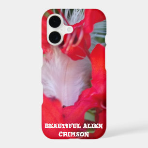 Délicate Beauté   Fleur rouge avec plume blanche A