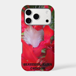 Délicate Beauté   Fleur rouge avec plume blanche A