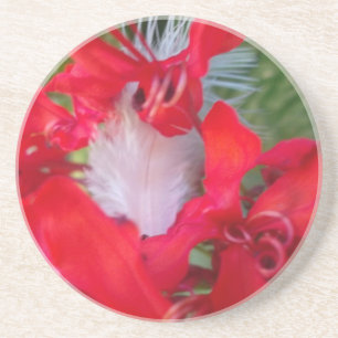 Delicate Beauty: Red Flower with White Feather Coaster