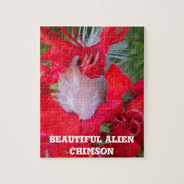 Delicate Beauty: Red Flower with White Feather Jigsaw Puzzle (Vertical)