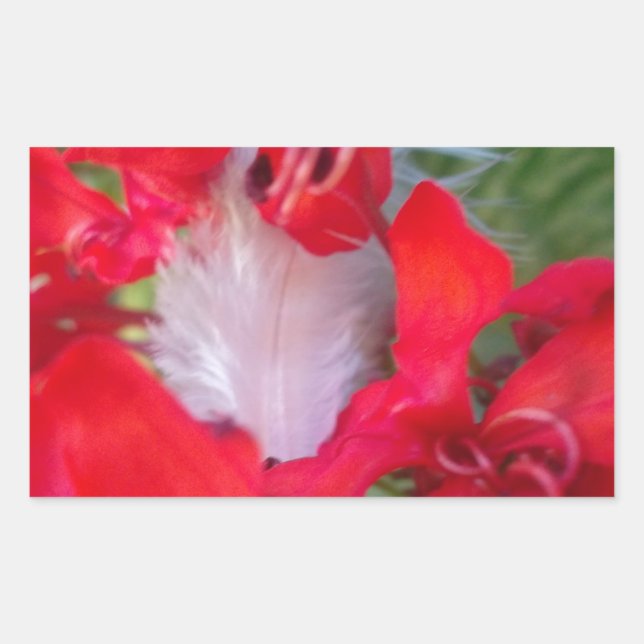 Delicate Beauty: Red Flower with White Feather Sticker (Front)