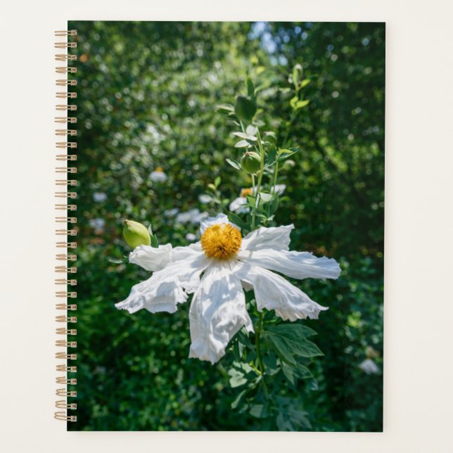 Delicate Bloom of Forest Light Planner (Front)