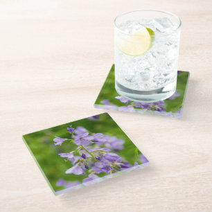 Delicate blue flowers on a green field in a spring glass coaster