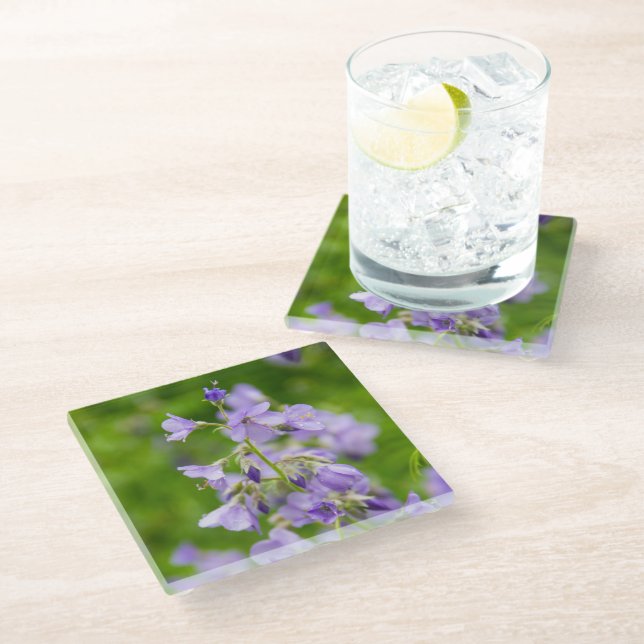Delicate blue flowers on a green field in a spring glass coaster (Angled)