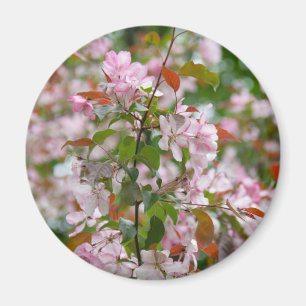 Delicate branch with flowers apple tree magnet
