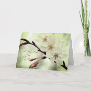 Delicate Cherry Blossoms Card